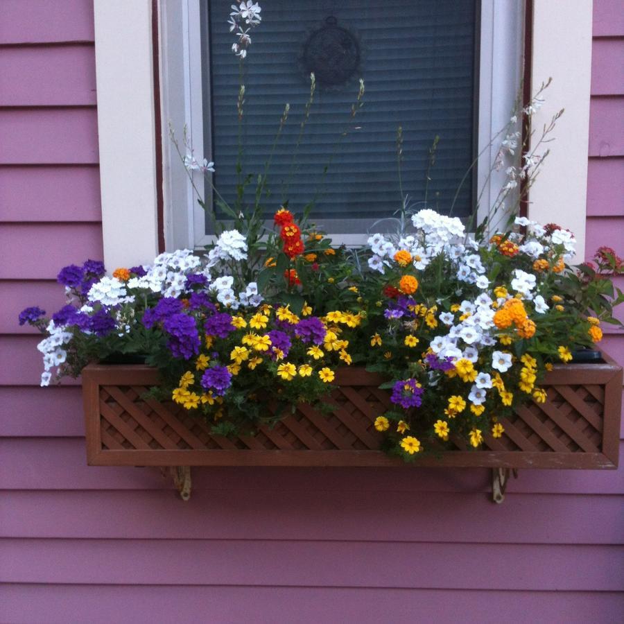 Rose & Thistle Bed & Breakfast Cooperstown Exteriör bild