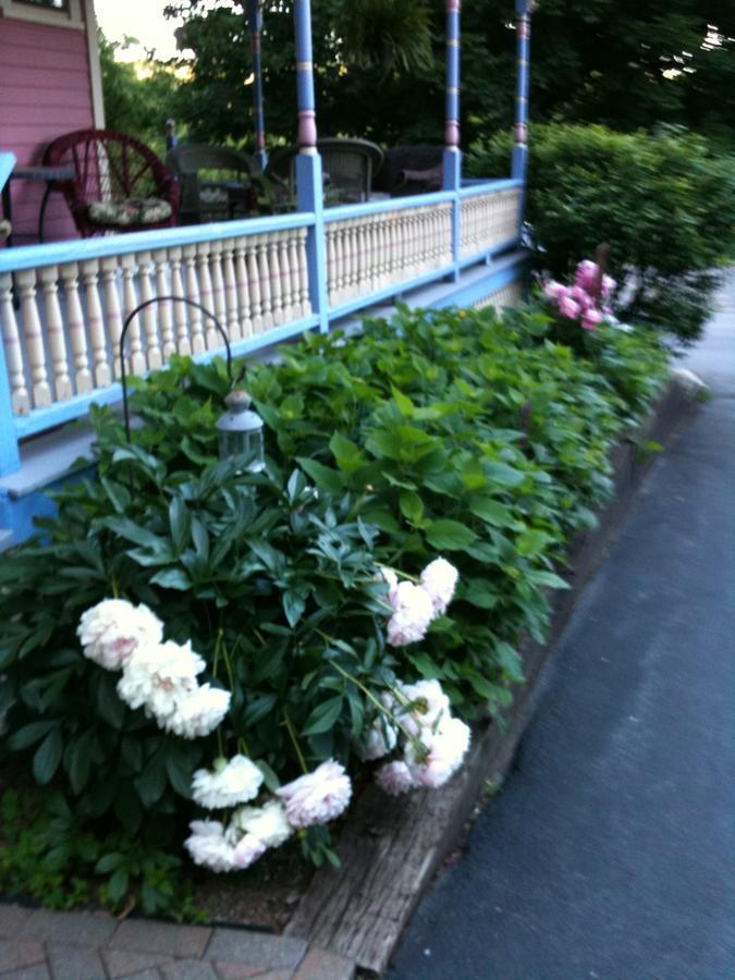 Rose & Thistle Bed & Breakfast Cooperstown Exteriör bild